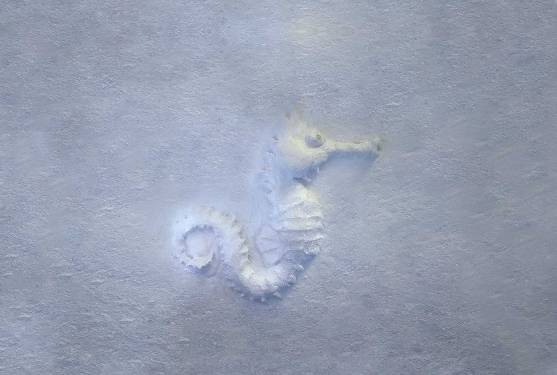 Künstlerische Angebote